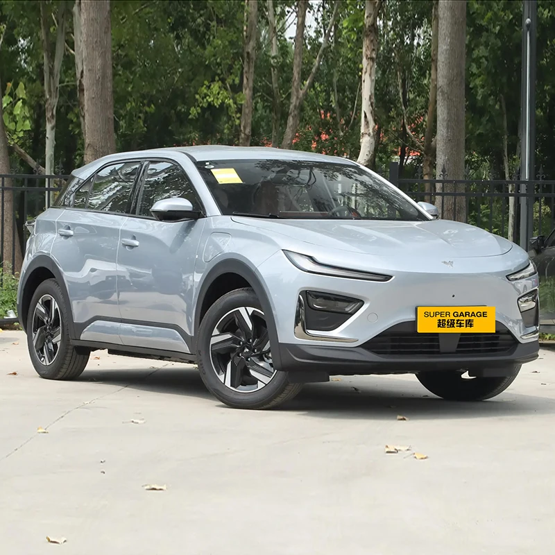 NETA X500 PRO Neta U 2025 New Energy Vehicle with EV Motor NETA X 500 Pro Electric Car