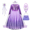 Viola con tutti gli accessori SKU02