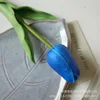 Klein blue