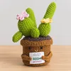 pequeño cactus de halloween