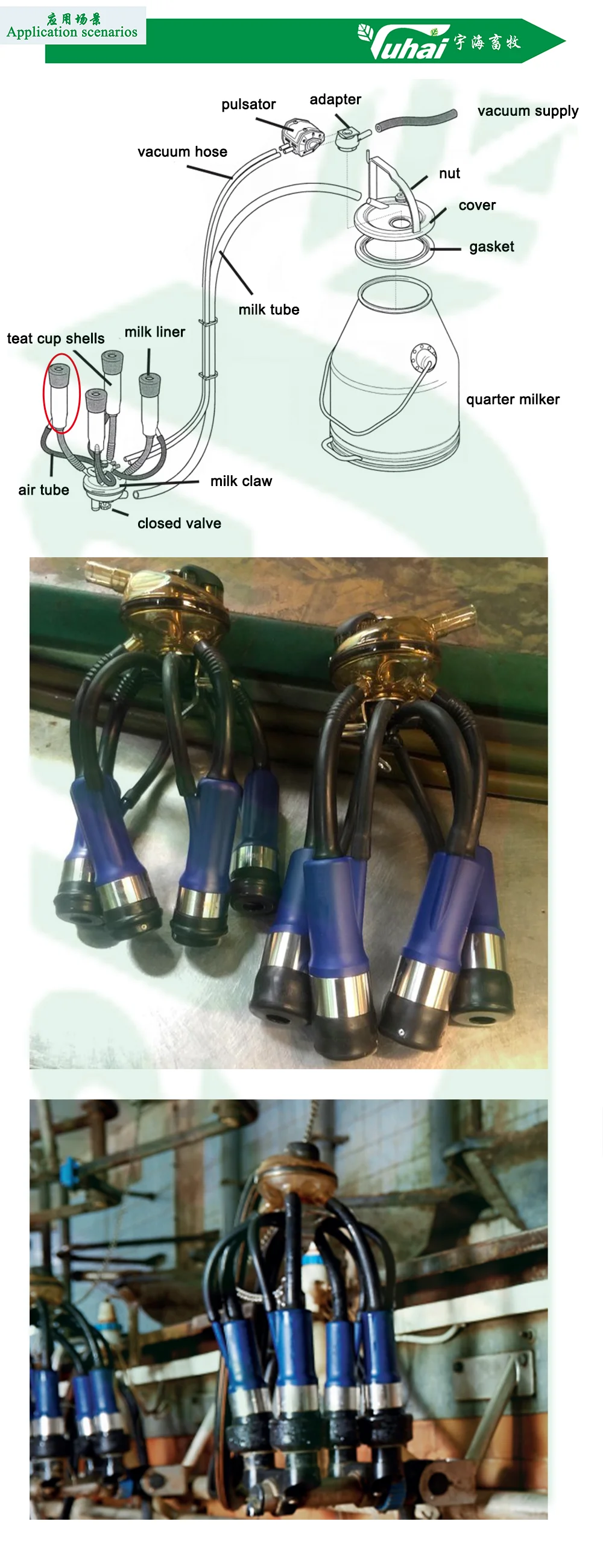 product cow plastic teats cup triangle lined with steel cups for milking machine milking liner steel cup-2