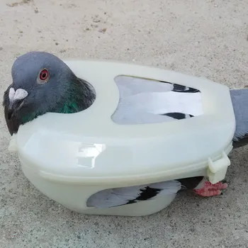 Convenient Bird Supplies Pigeon Equipment with Pigeon Holder for Easy Medicine Injection Watching Pigeon's Eyes for Pet Owners