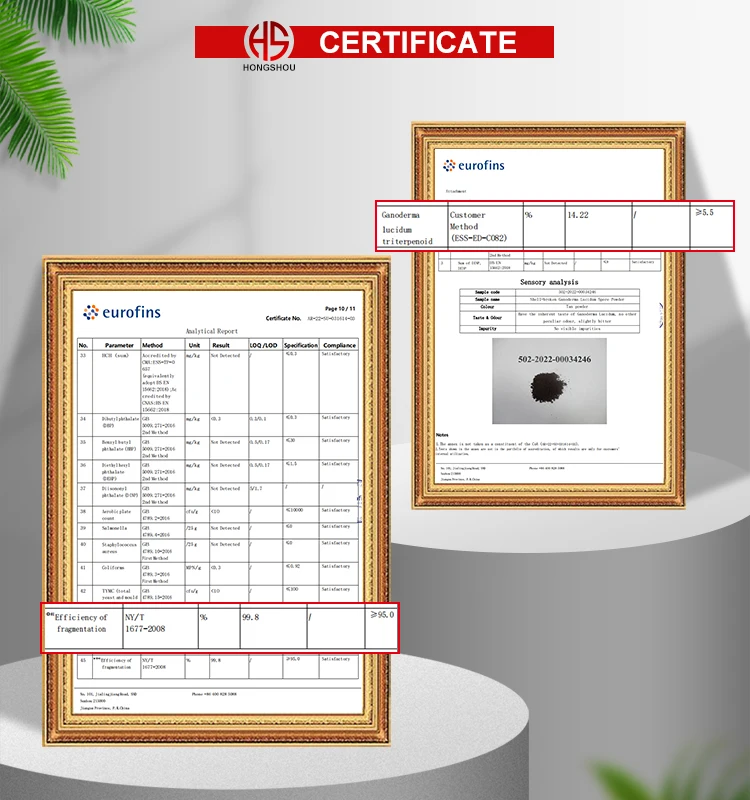 Shellbroken Herbal Lingzhi Ganoderma Spore Powder Plant Extract