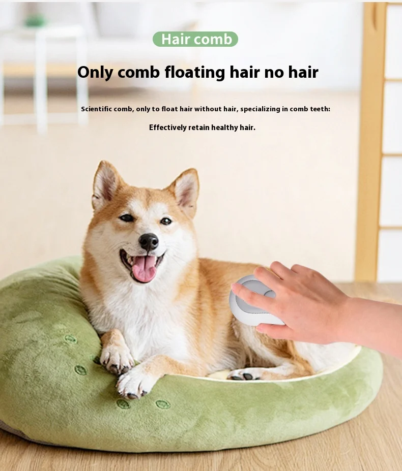Pet Spray Comb Cat Cleaning Massage Comb One-click Spray Anti-flying Hair to Remove Floating Comb Pet Supplies supplier