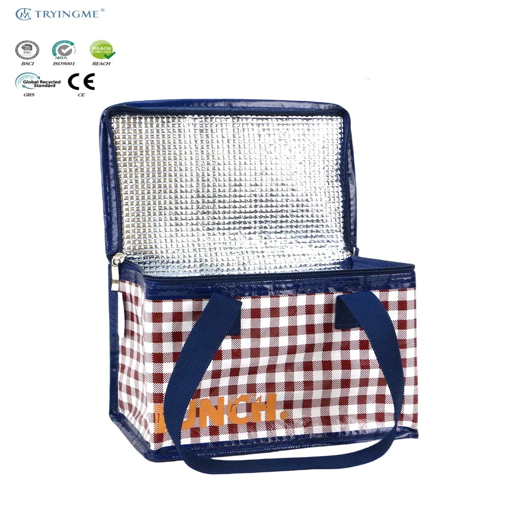Large Capacity Insulated Aluminum Outdoor PP Non Woven Picnic Bag Reusable Beach Cooler for Food Delivery Eco-Friendly