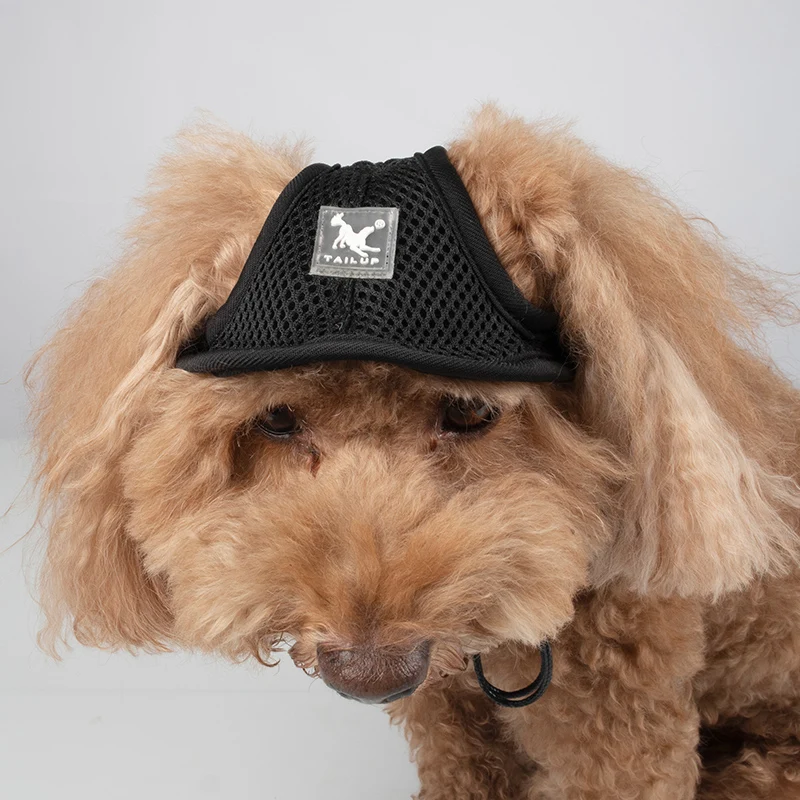 Soft, Breathable Pet Dog Hats with Two Big Ear Holes