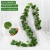 ใบบีโกเนียสามมิติ 52 ใบ (5 ใบ)