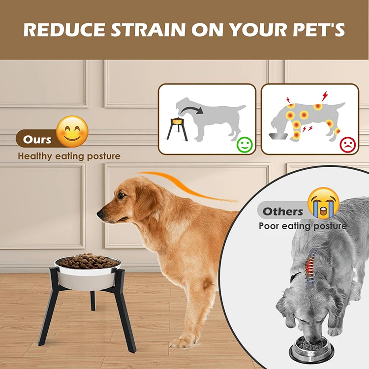 Elevated Dog Bowl Stand Features