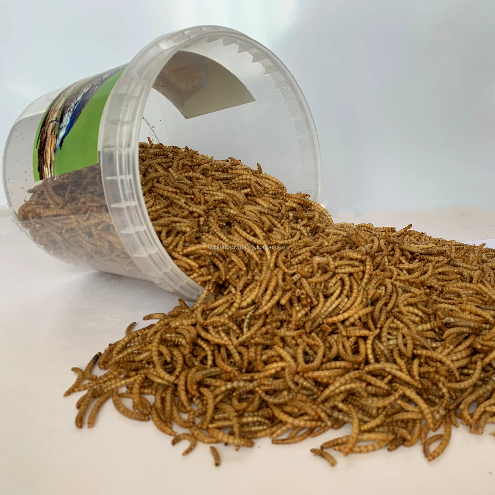 Fresh Dried Mealworm For Aquarium Fish Feed,Bird Food,,Dry Food Buy