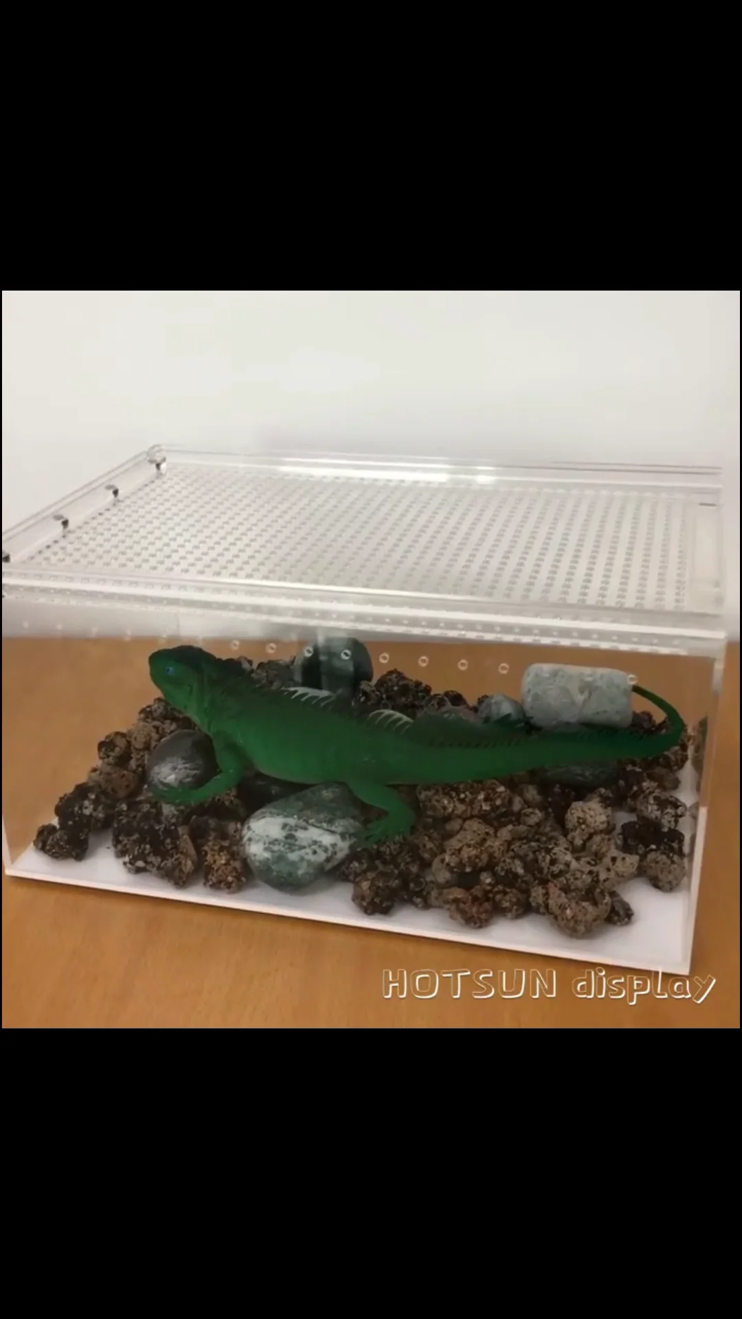 Customized Cover Lids Plastic Reptile Terrarium Display Case