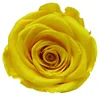 Golden yellow
