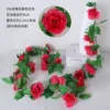 9-headed rose vine - rose red
