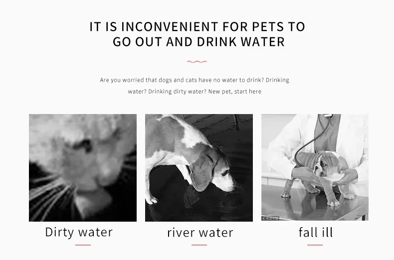 RTS BPA Free Animal Feeding Drinking Cup Bowl Pet Water Dispenser Dog Water Bottle details
