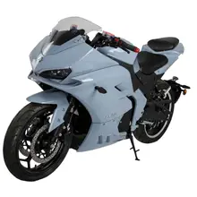 Customizable 2000W Hub Motor Two-Wheel Racing Electric Motorcycle Max Speed 80km/h