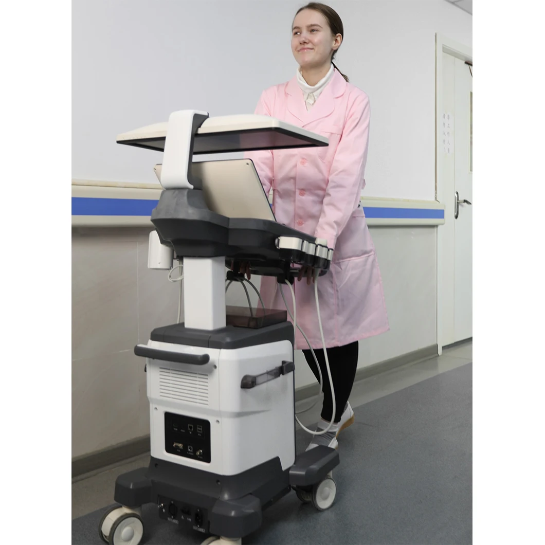High Quality 13.3 Inch Touch Screen 4D Trolley Color Doppler Ultrasound Ultrasound Machine