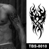 TBS-8010    TBS-8010