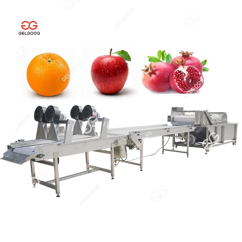 2 Ton/Hr Lemon Sorting Apple Washing and Waxing Machine Automatic Orange Mango Fruit Wash Waxing Machine