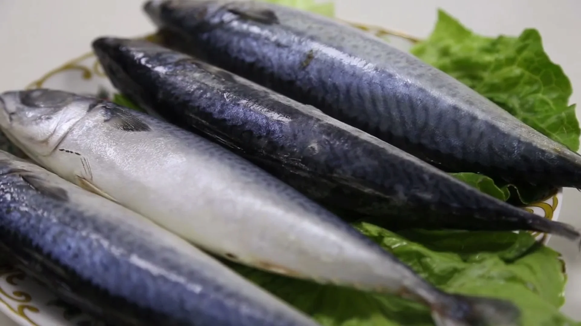 Frozen Pacific Mackerel As Fish Bait Buy Mackerel Atlantic,Frozen