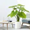 B-70CM สีเขียว