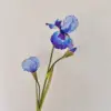 Alice iris azul oscuro