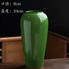 Solid color fruit green high number-new product loss impulse