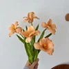 สีส้ม