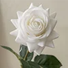 สีขาว