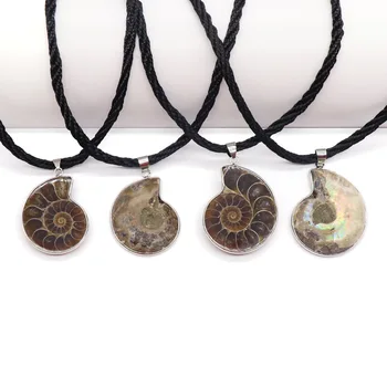 Wholesale Natural Mineral Crystal Conch Pendant Ammonite Agate Slice Pendant Necklace