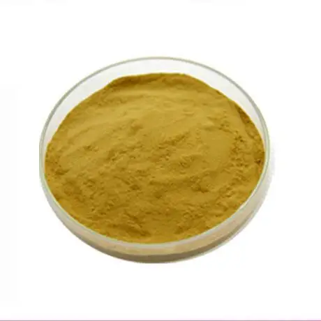 Natural high-quality fenugreek seed extract/fenugreek powder/furosterol saponins