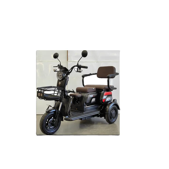Hot selling Electric tricycle Elderly mobility vehicle Electric three wheeled elderly mobility H6