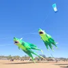 Cerf-volant requin 3D.