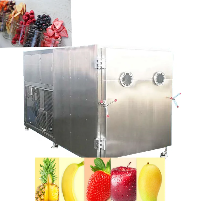 Fruits And Vegetables Vacuum Freeze Drying Machine Manufacturer