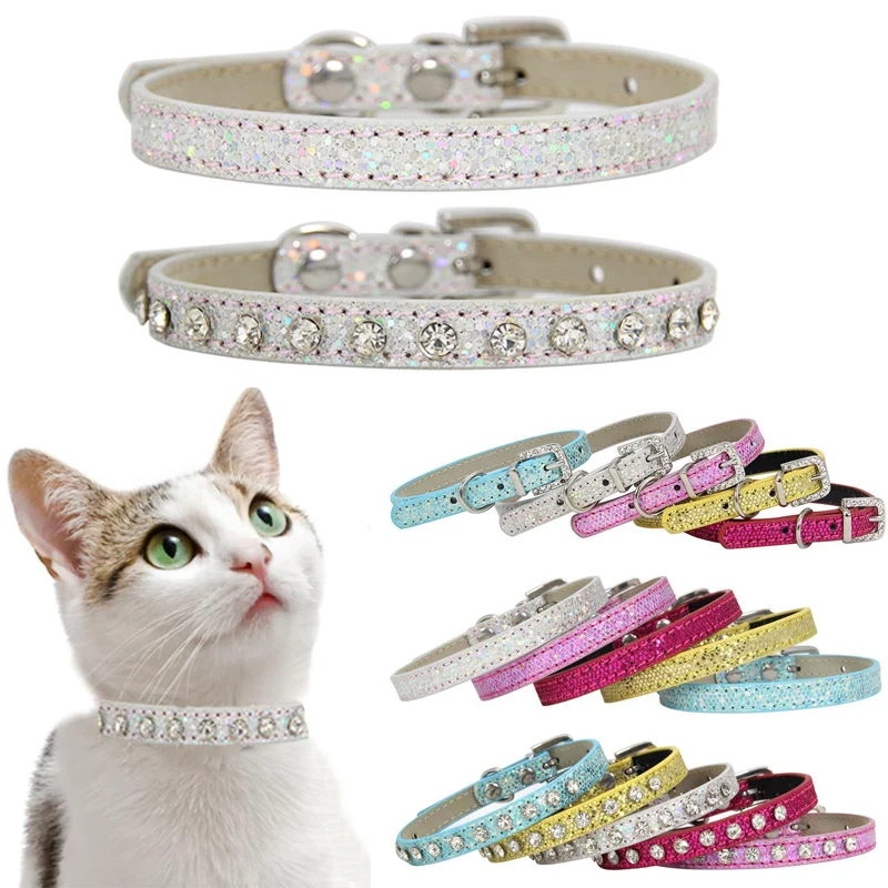 buy cat collar