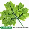 Large green mango leaves (12 pieces)