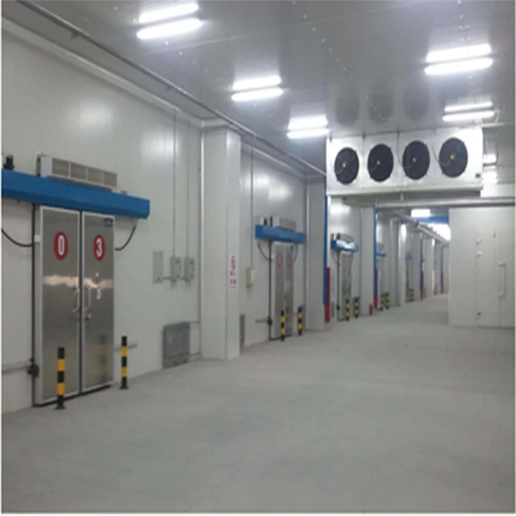 Customized square Meter Cold Room Storage air Cooler Freezing Cold Food Container for Supermarket Made in China