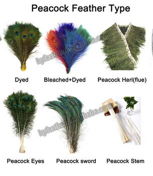 Peacock Feather - Dyed