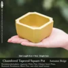 Thick style-Plastic-9cm9cm5cm golden yellow