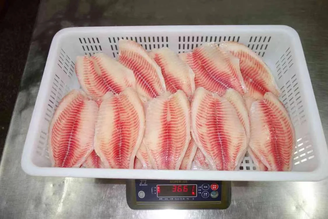 China Farm Raised Tilapia Fish Frozen Tilapia Fillet Buy China Farm
