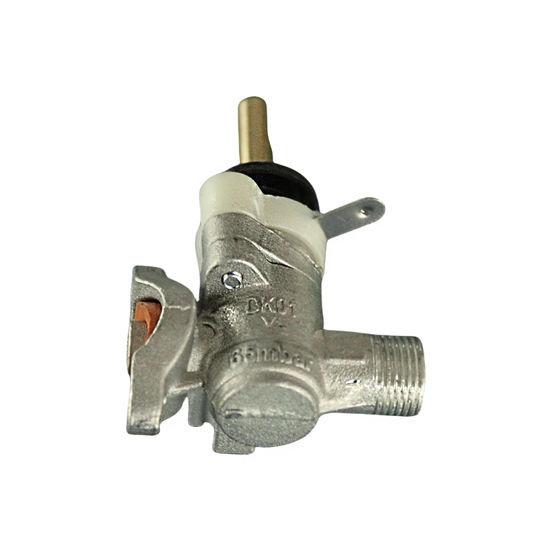 Gas Hob Spare Parts Gas Stove Safety Valve With Pressure Reducer