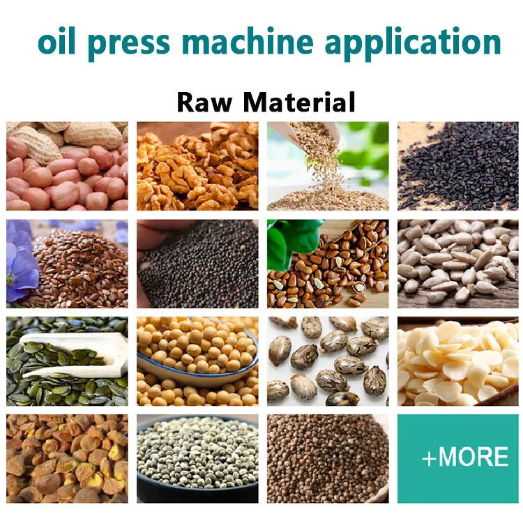 Mini Ground Nut Oil Pressing Machine Mustard Cooking Oil Machine Making for Sun Flower
