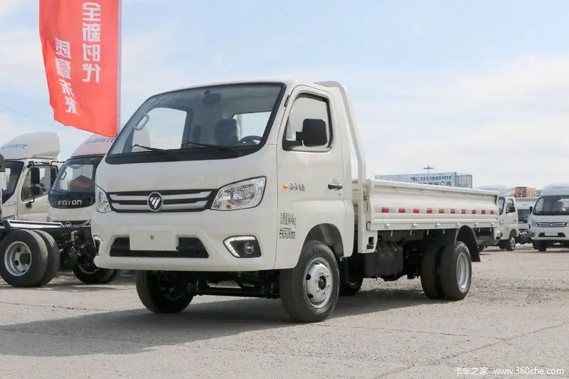 Foton 4x2 2 Tones Light Cargo Truck