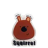 Ardilla