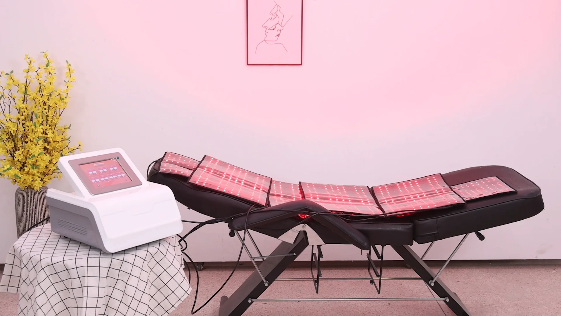 Phototherapy Red Light Therapy Beauty Machine For Facial Skin And Body