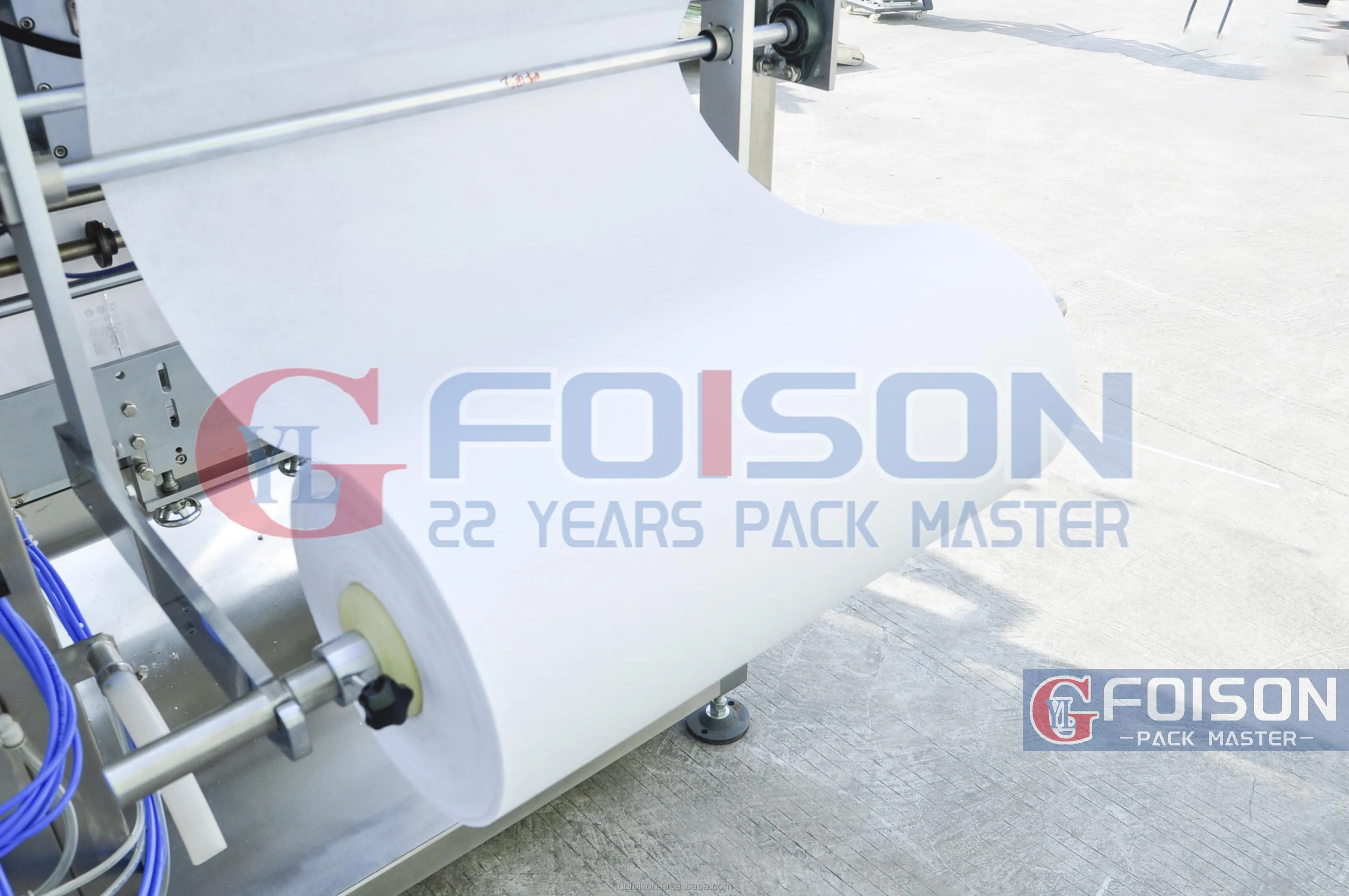 Grape Guard So2 Pad Absorbent  Moisture  Fruit Drying  Type Keep Fresh Filling and Packing Making Machine
