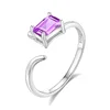 JH0169-1Amethyst
