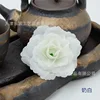 blanc laiteux