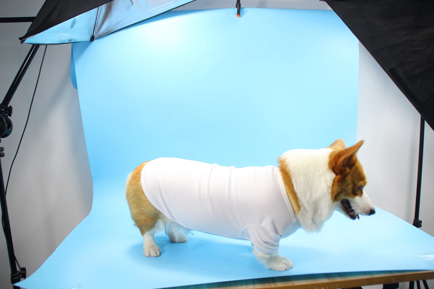 Custom Sublimation Blank Dog Shirts Printable Plain Dog Clothes Polyester Pets Clothes And
