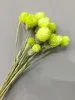 fruit green