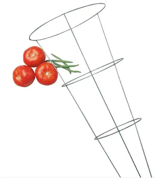 China Made Iron Tomato Cage with Best Quality and Price