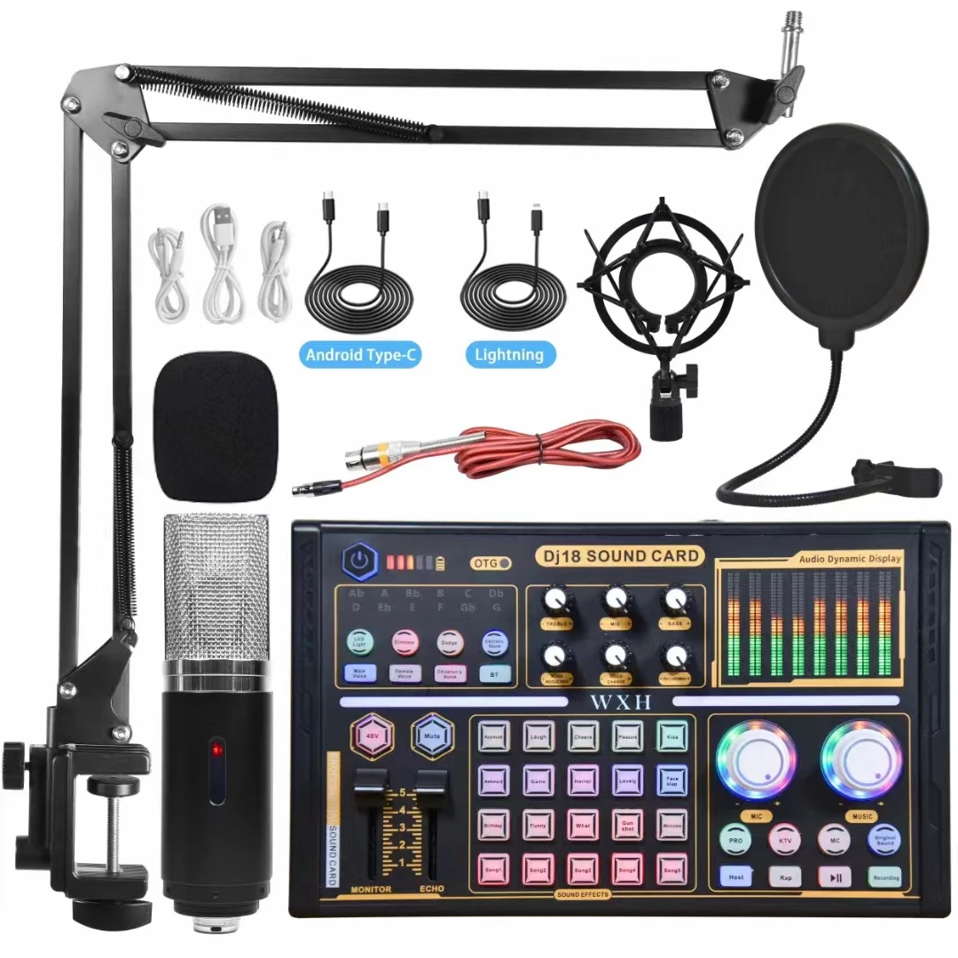 Bm 800 Professional Pc Dj18 Sound Card Set Bm800 Mic Studio Condenser